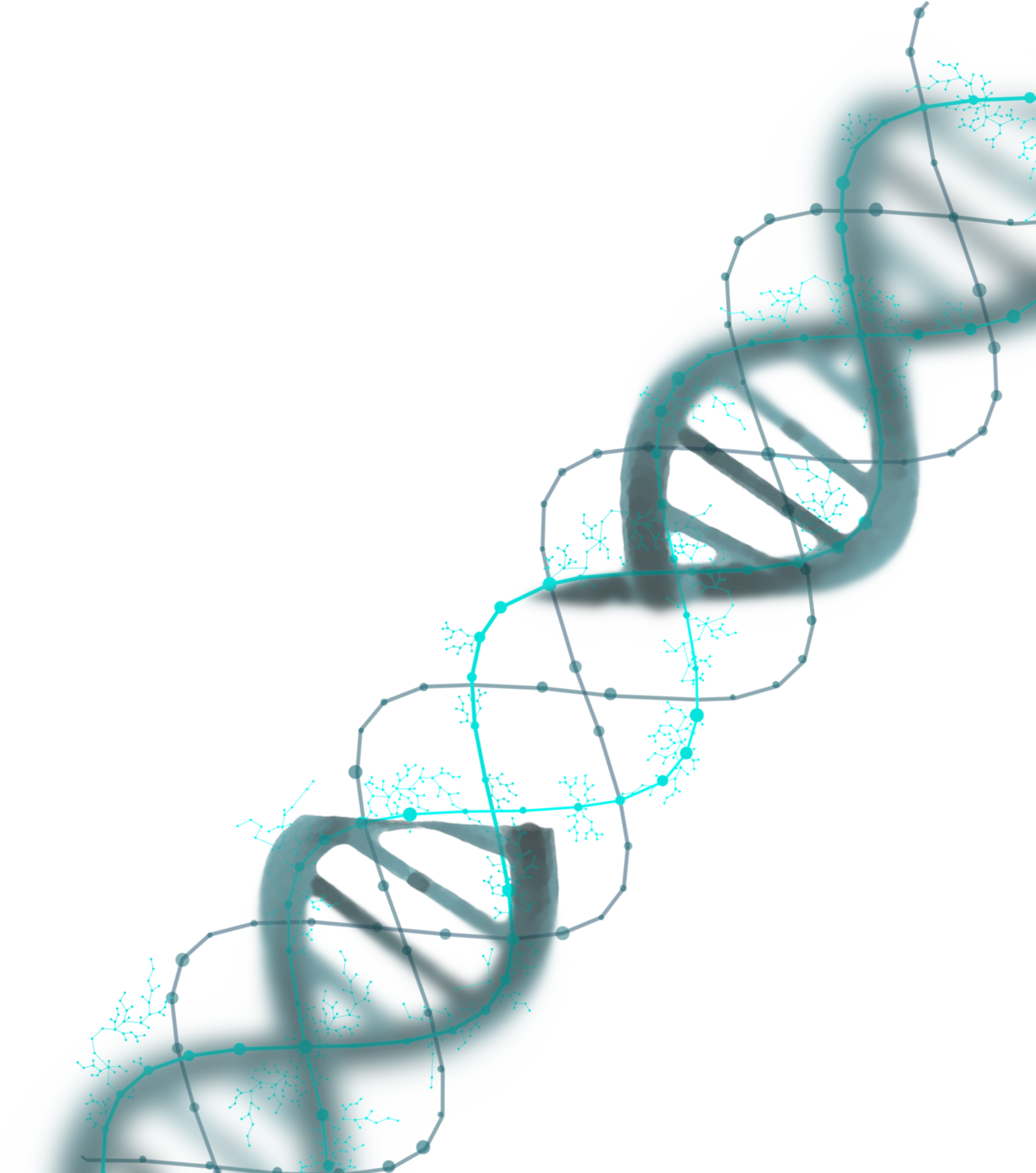 Cadena de ADN – ELE Biotech
